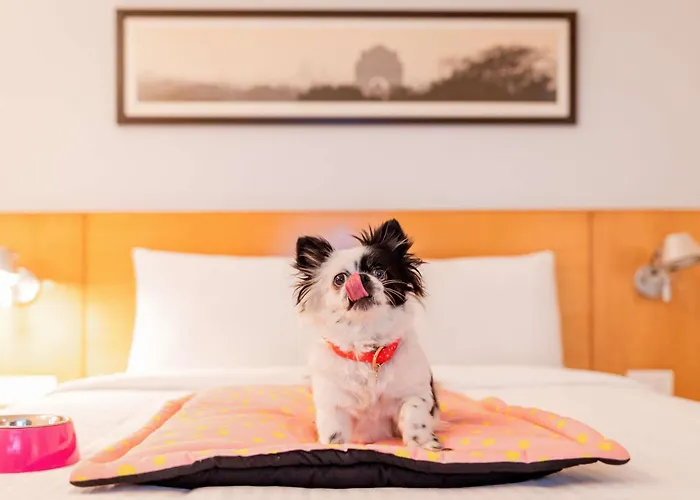 Ibis Hotel 3*