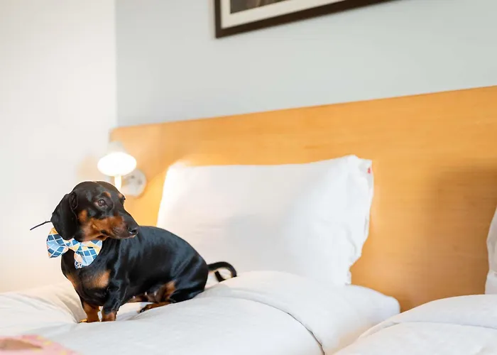 Ibis Hotel 3*