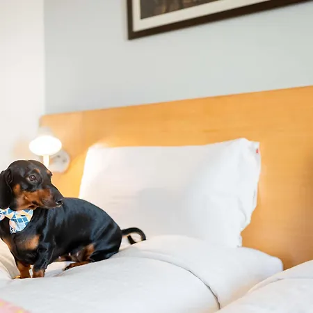 Ibis Hotel 3*